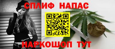 прущие грибы Ирбит