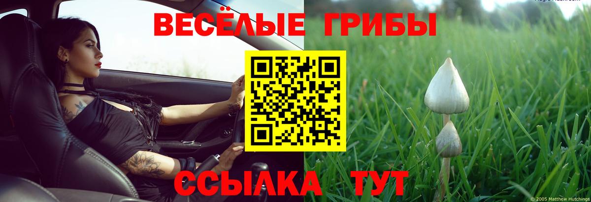 купить наркоту  Псилоцибиновые грибы Magic Shrooms  Вход с VPN  Пермь 